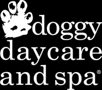 Doggy Daycare And Spa